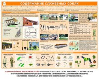 Комплект плакатов "Кинология" - fgospostavki.ru - Ярославль