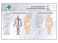 Электрифицированный стенд "Остановка кровотечения" - fgospostavki.ru - Ярославль