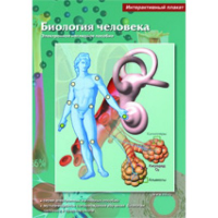 Интерактивные плакаты. Биология человека. Программно-методический комплекс - fgospostavki.ru - Ярославль