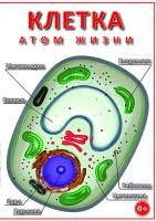 DVD "Клетка - "атом жизни" - fgospostavki.ru - Ярославль