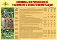 Плакат "Нормативы по радиационной, химической и биологической защите" - fgospostavki.ru - Ярославль