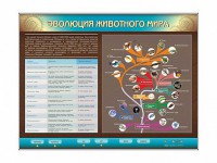 Интерактивный электрифицированный стенд "Эволюция животного мира" - fgospostavki.ru - Ярославль
