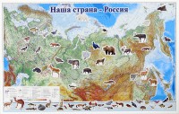 Магнитные карточки "Животные" - fgospostavki.ru - Ярославль