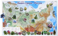 Магнитные карточки "Растения" - fgospostavki.ru - Ярославль