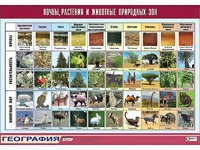 Таблица демонстрационная "Почвы, растения и животные природных зон" (винил 100*140) - fgospostavki.ru - Ярославль