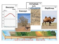 Модель-аппликация "Природные зоны" - fgospostavki.ru - Ярославль