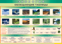 Таблица "Экология. Обобщающие таблицы" (100х140 сантиметров, винил) - fgospostavki.ru - Ярославль