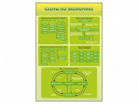 Стенды "Схемы по экономике" - fgospostavki.ru - Ярославль