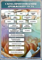 Стенд "Схема приготовления дрожжевого теста" - fgospostavki.ru - Ярославль
