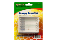 Набор микропрепаратов для микроскопа №2 «Насекомые» - fgospostavki.ru - Ярославль