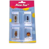 Набор микропрепаратов для стереомикроскопа №14 «Насекомые» - fgospostavki.ru - Ярославль