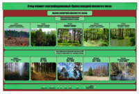 Стенд-планшет электрифицированный «Оценка пожарной опасности в лесах»  - fgospostavki.ru - Ярославль
