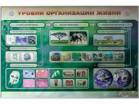 Электрифицированный стенд "Уровни организации жизни" - fgospostavki.ru - Ярославль