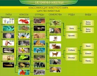 Стенд "Систематика животных" - fgospostavki.ru - Ярославль