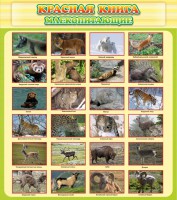 Стенд "Красная книга - млекопитающие" - fgospostavki.ru - Ярославль