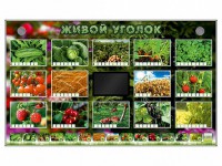 Комплект оборудования "Живой уголок" (растения) - fgospostavki.ru - Ярославль