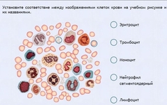 Интерактивные курсы. Биология 11 класс. Расширенный. - fgospostavki.ru - Ярославль