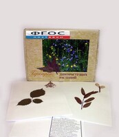 Гербарий "Дикорастущие растения" (28 видов) - fgospostavki.ru - Ярославль