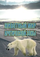 DVD "Животный мир Арктической зоны" - fgospostavki.ru - Ярославль