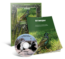 Электронное наглядное пособие «Птицы» - fgospostavki.ru - Ярославль