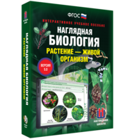 Наглядная биология. Растение - живой организм - fgospostavki.ru - Ярославль
