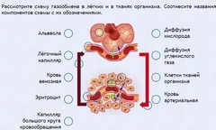 Интерактивные курсы. Биология 9 класс. Расширенный. - fgospostavki.ru - Ярославль
