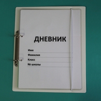 Дневник школьника (с полным набором карточек) - fgospostavki.ru - Ярославль