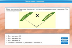Интерактивные курсы. Биология 11 класс. Базовый. - fgospostavki.ru - Ярославль