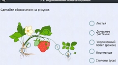 Интерактивные курсы. Биология 7 класс. Расширенный. - fgospostavki.ru - Ярославль