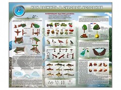 Стенд "Как выжить в суровых условиях" - fgospostavki.ru - Ярославль