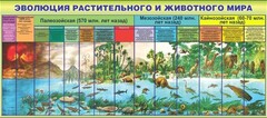 Стенд "Эволюция растительного и животного мира" - fgospostavki.ru - Ярославль