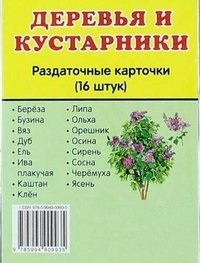 Раздаточные карточки "Деревья и кустарники" - fgospostavki.ru - Ярославль