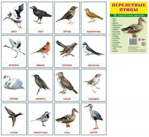 Раздаточные карточки "Перелетные птицы" - fgospostavki.ru - Ярославль