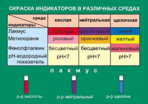 Таблица. Окраска индикаторов в различных средах. - fgospostavki.ru - Ярославль
