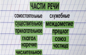 Набор магнитных карточек "Части речи" (фон зелёный) - fgospostavki.ru - Ярославль
