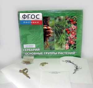 Гербарий "Основные группы растений" (52 листа) - fgospostavki.ru - Ярославль
