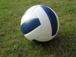 Мяч волейбольный звенящий - fgospostavki.ru - Ярославль