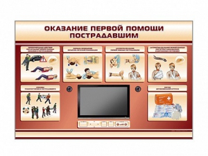 Многофункциональный интерактивный стенд-тренажер "Оказание первой помощи пострадавшим" для учащихся общеобразовательных учреждений - fgospostavki.ru - Ярославль