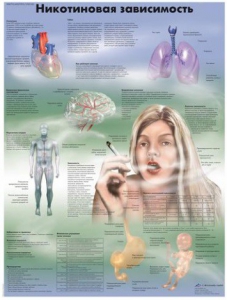 Плакат "Никотиновая зависимость" ламинированный - fgospostavki.ru - Ярославль