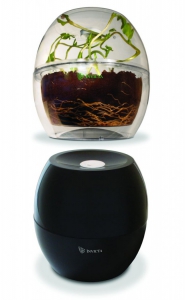 Набор для выращивания растений на свету и в темноте - fgospostavki.ru - Ярославль