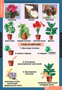 Комплект таблиц. Окружающий мир 1 класс. - fgospostavki.ru - Ярославль