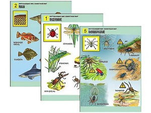 Комплект таблиц "Окружающий мир. Животный мир" (8 таблиц, А1, ламинированные) - fgospostavki.ru - Ярославль