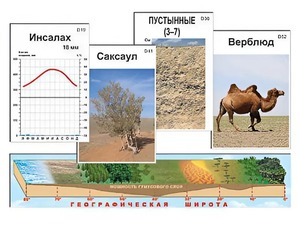 Модель-аппликация "Природные зоны" - fgospostavki.ru - Ярославль