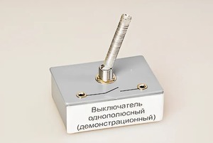 Выключатель однополюсный (демонстрационный) - fgospostavki.ru - Ярославль