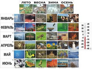 Фенологические наблюдения - fgospostavki.ru - Ярославль