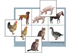 Логопедическое лото "Домашние животные" (4 планшета, 24 карточки, цветное, ламинированное) - fgospostavki.ru - Ярославль