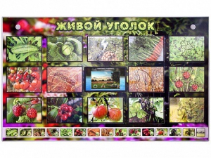 Комплект оборудования "Живой уголок" (растения) с тифлопереводом и сурдокомментариями - fgospostavki.ru - Ярославль