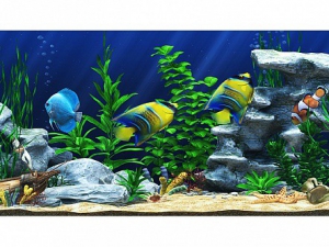 Интерактивный аттракционный комплекс "Водный мир" - fgospostavki.ru - Ярославль