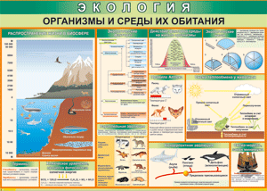 Таблица "Организмы и среды их обитания" (100х140 сантиметров, винил) - fgospostavki.ru - Ярославль