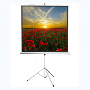 Экран на штативе DSKD-1105  - fgospostavki.ru - Ярославль